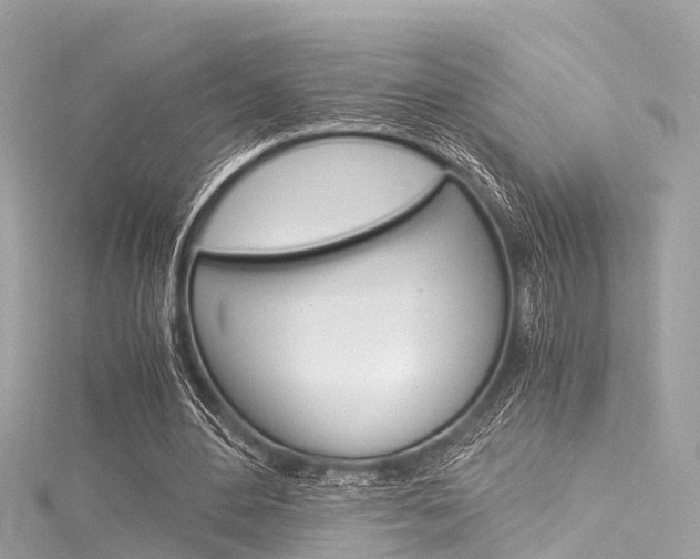 X0000116050484200911201046