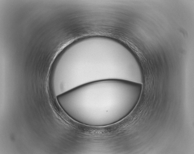 X0000116050488200911201046