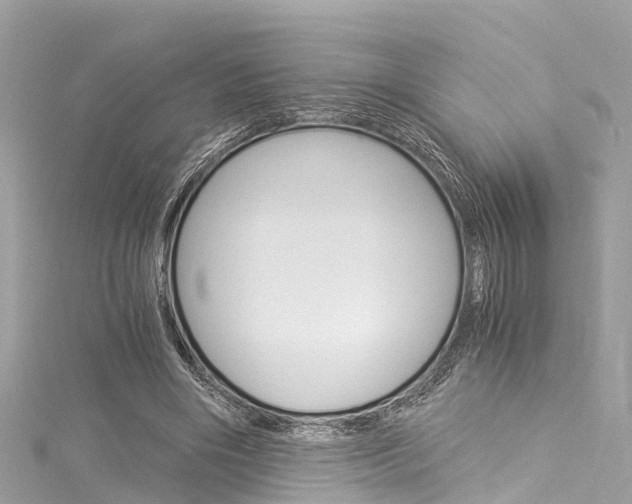 X0000116050490200911201046