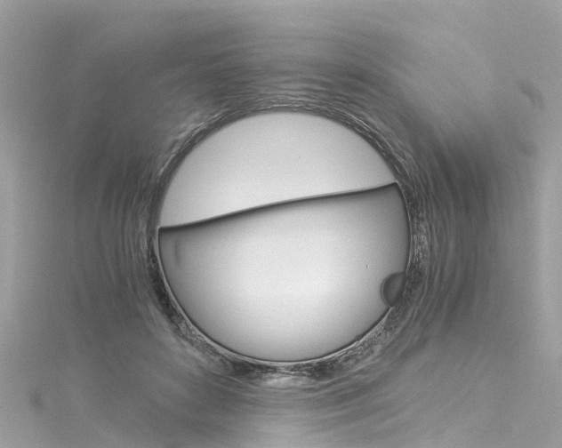 X0000116050504200911201045