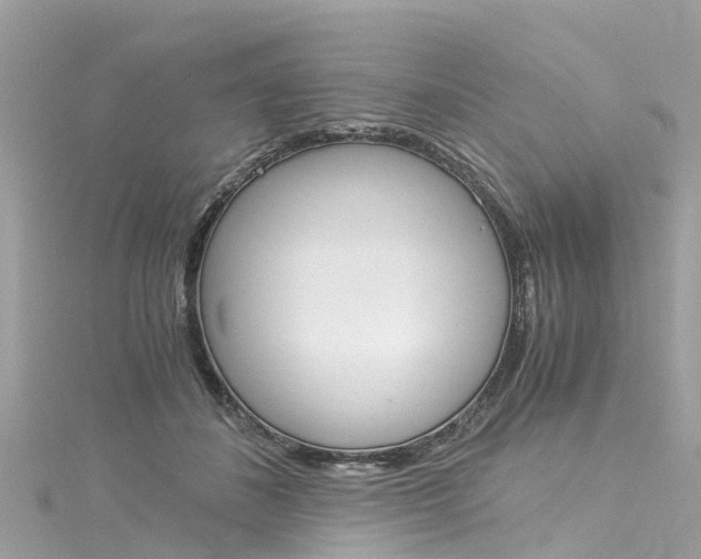 X0000116050508200911201045