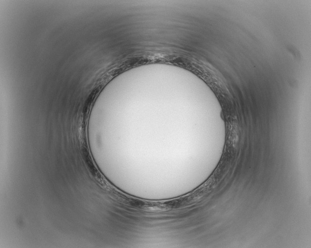 X0000116050510200911201045