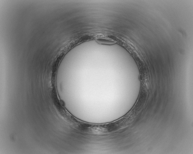 X0000116050512200911201045