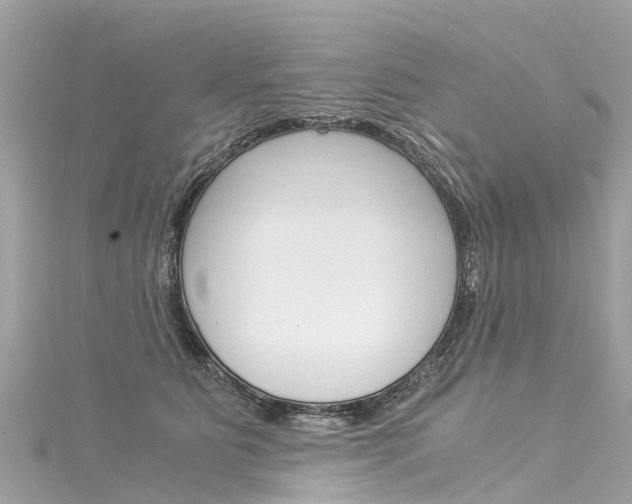 X0000116050515200911201045