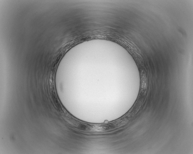 X0000116050518200911201045