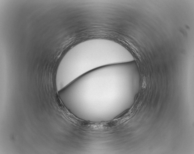 X0000116050524200911201045