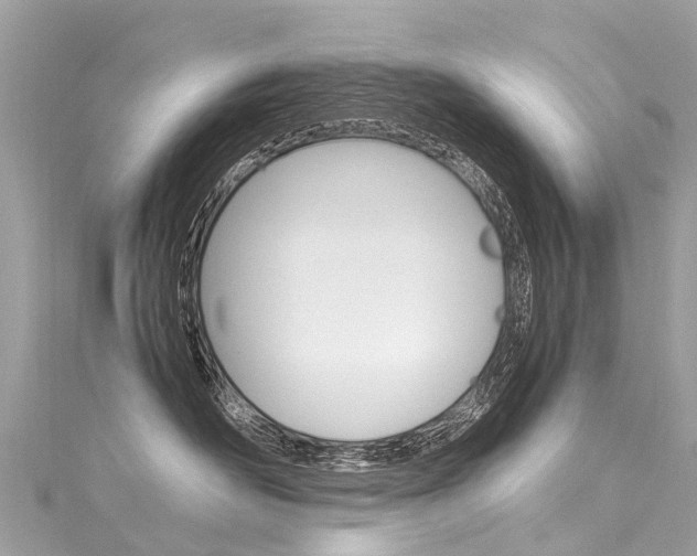 X0000116050526200911201045