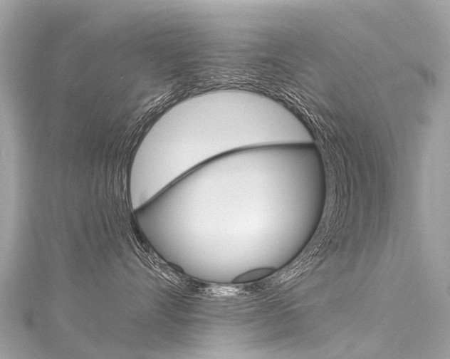 X0000116050528200911201045