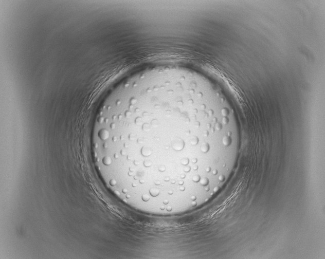 X0000116050529200911201045