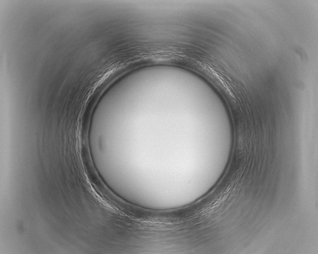 X0000116050530200911201045