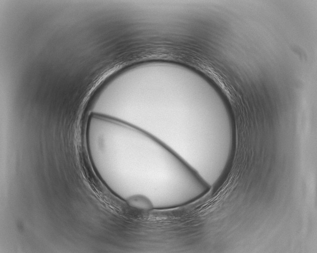 X0000116050531200911201045