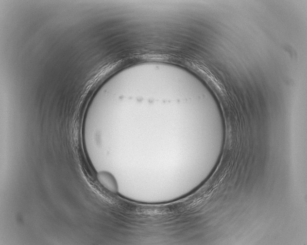 X0000116050533200911201045