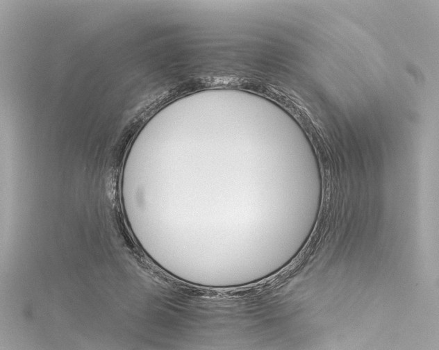 X0000116050545200911201045