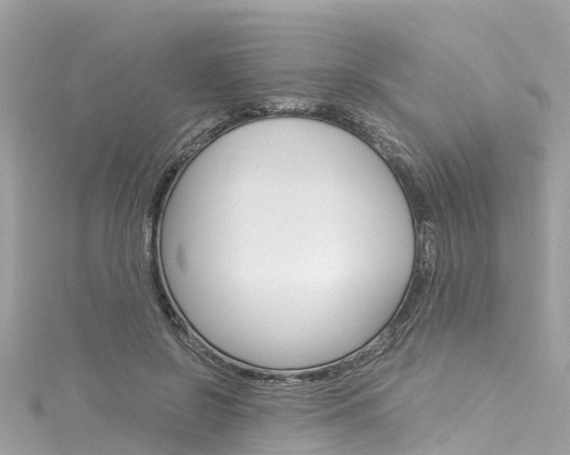 X0000116050550200911201045
