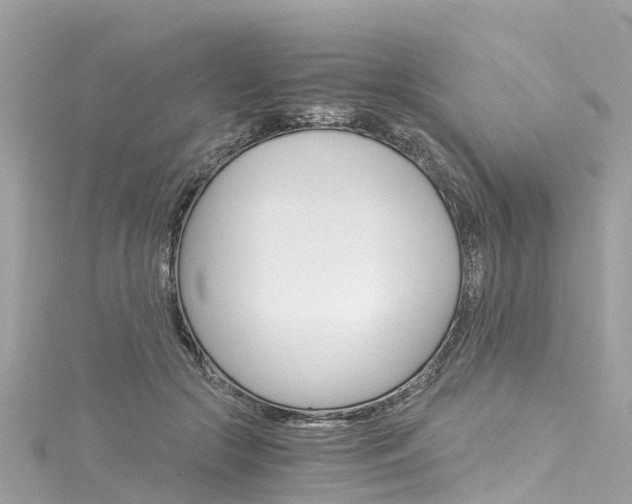 X0000116050553200911201045