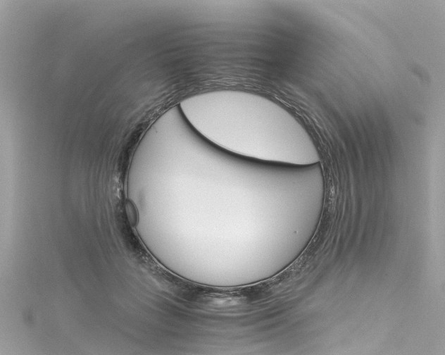 X0000116050555200911201045