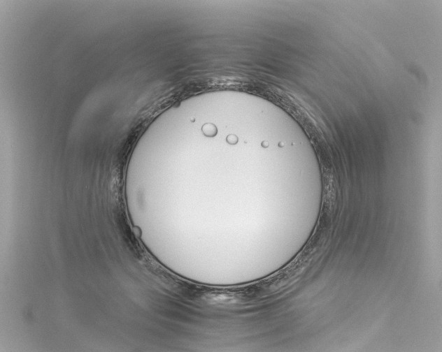 X0000116050557200911201045