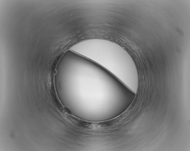 X0000116050562200911201045