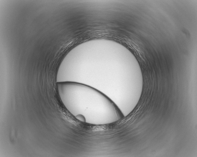 X0000116050574200911201045
