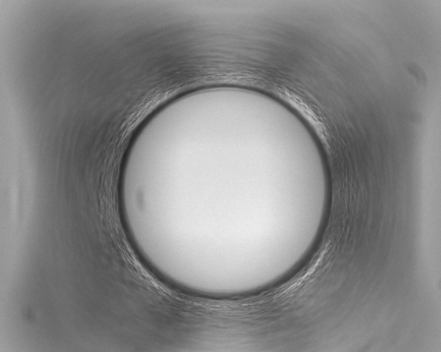 X0000116050577200911201045