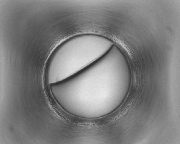 X0000116050580200911201044
