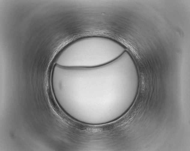 X0000116050582200911201044