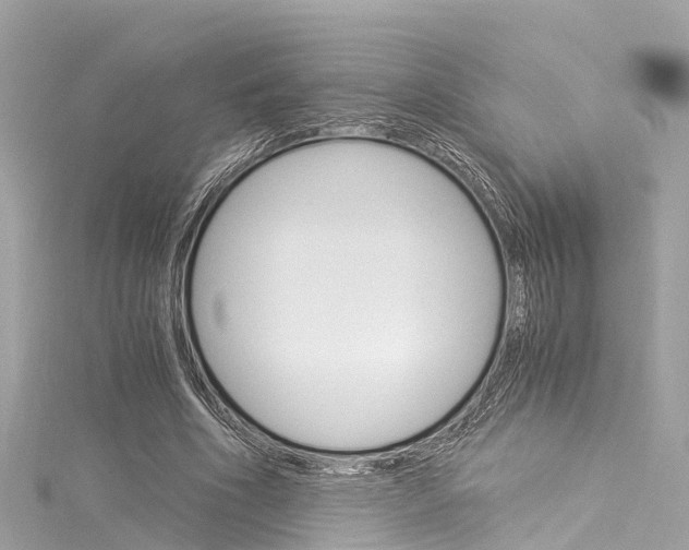 X0000116050586200911201044