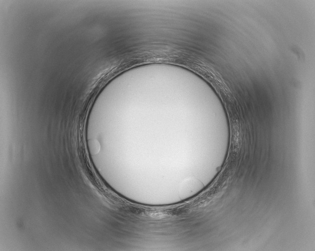 X0000116050590200911201044