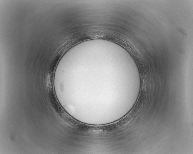 X0000116050598200911201044