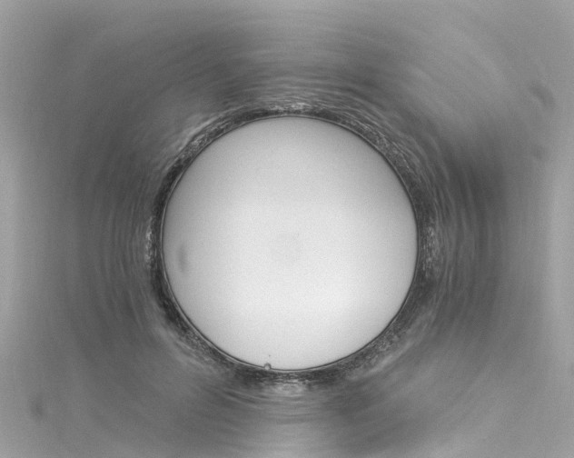 X0000116050600200911201044