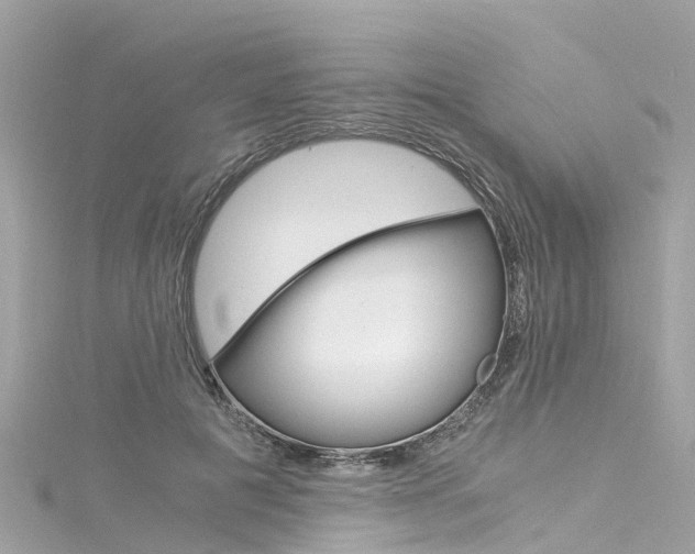 X0000116050601200911201044