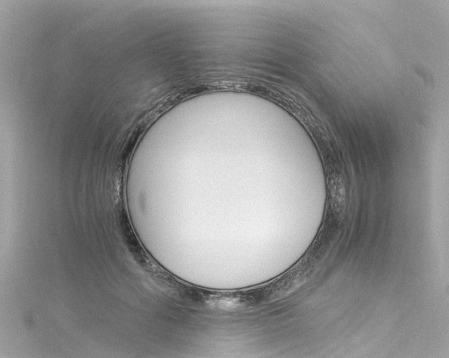 X0000116050602200911201044