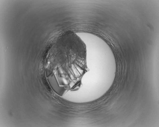 X0000116050609200911201044