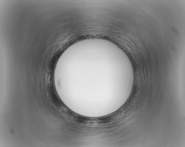X0000116050615200911201044