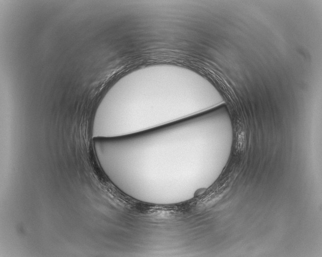 X0000116050620200911201044