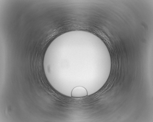 X0000116050621200911201044