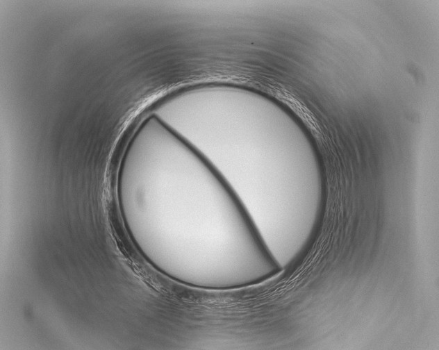 X0000116050628200911201043