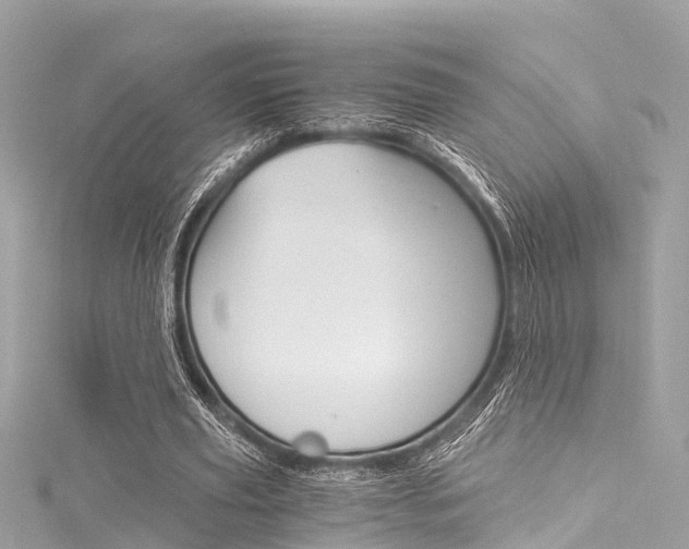 X0000116050629200911201043