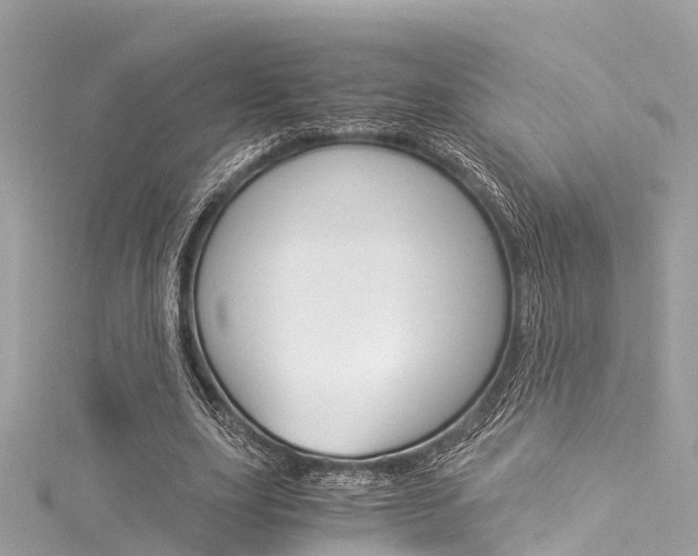 X0000116050631200911201043