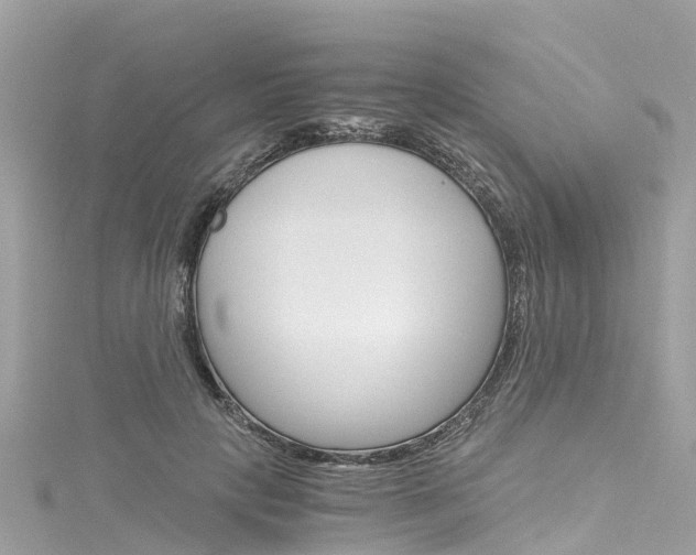 X0000116050649200911201044