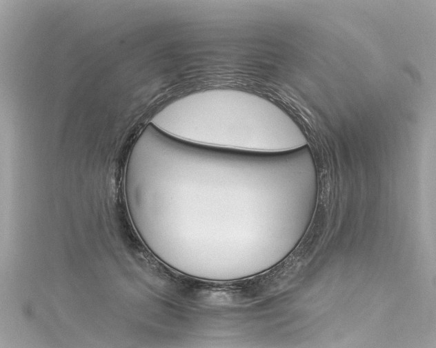 X0000116050655200911201044