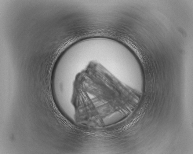 X0000116050673200911201043