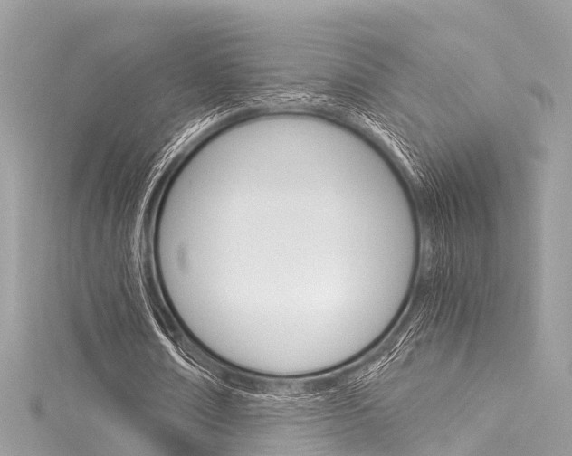 X0000116050674200911201043