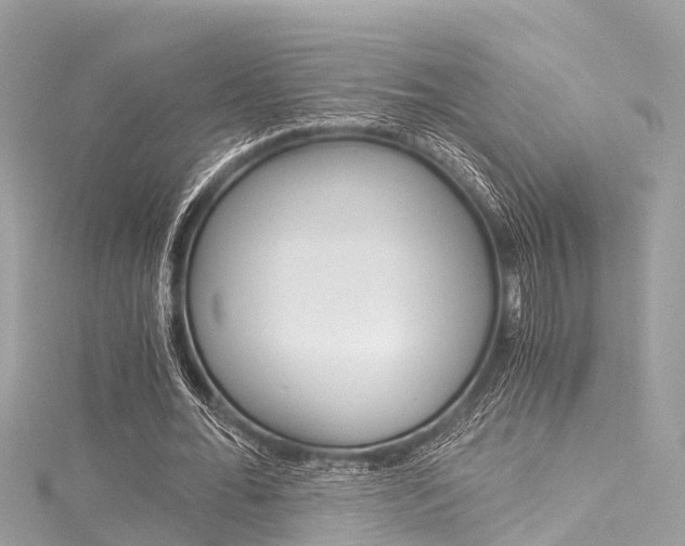 X0000116050676200911201043