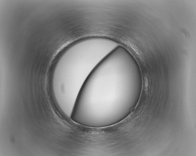 X0000116050684200911201043