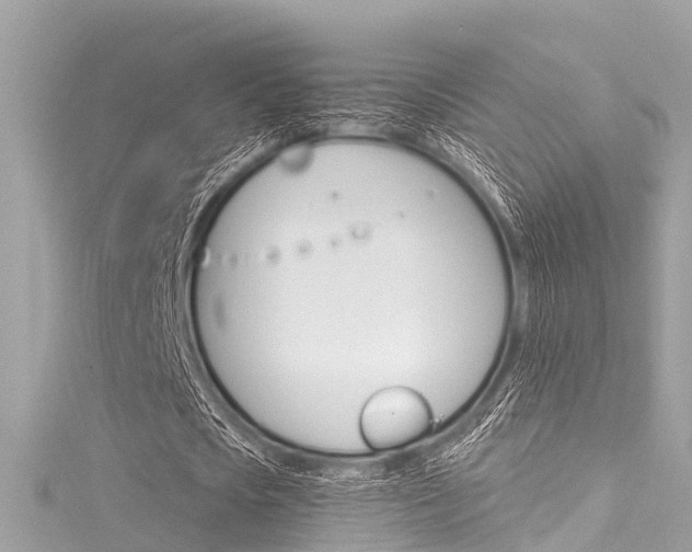 X0000116050721200911201042