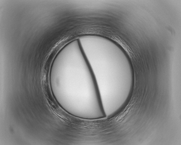 X0000116050723200911201042