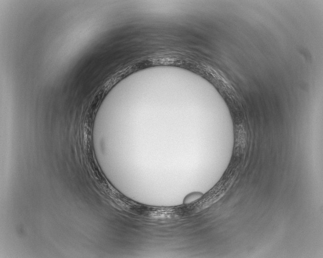 X0000116050761200911201043