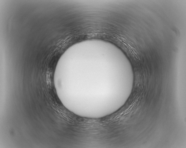 X0000116050770200911201042