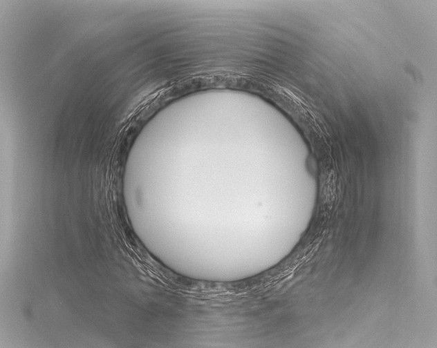X0000116050774200911201042